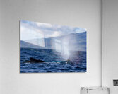 Humpback Whale Spout Blowing near Lahaina Maui Hawaii Acrylic Print