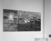 Humpback Whale Spout Breaching Tail Slapping near Lahaina Maui Acrylic Print