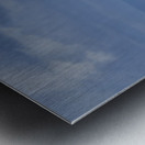 Humpback Whale Tail Slapping near Lahaina Maui Hawaii Metal print