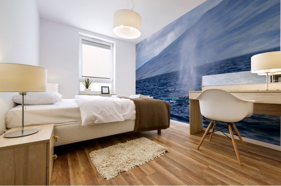 Humpback Whale Spout Blowing near Lahaina Maui Hawaii Mural print