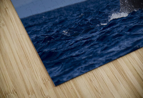 Humpback Whale Tail Slapping near Lahaina Maui Hawaii David Hoffmann puzzle