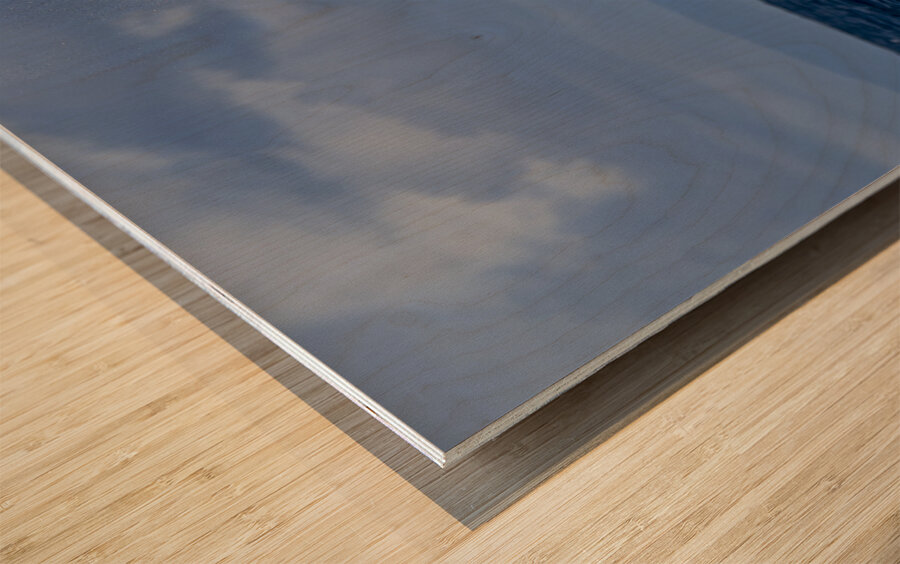 Humpback Whale Tail Slapping near Lahaina Maui Hawaii Wood print