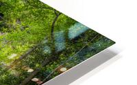 Mingo Falls HD Metal print