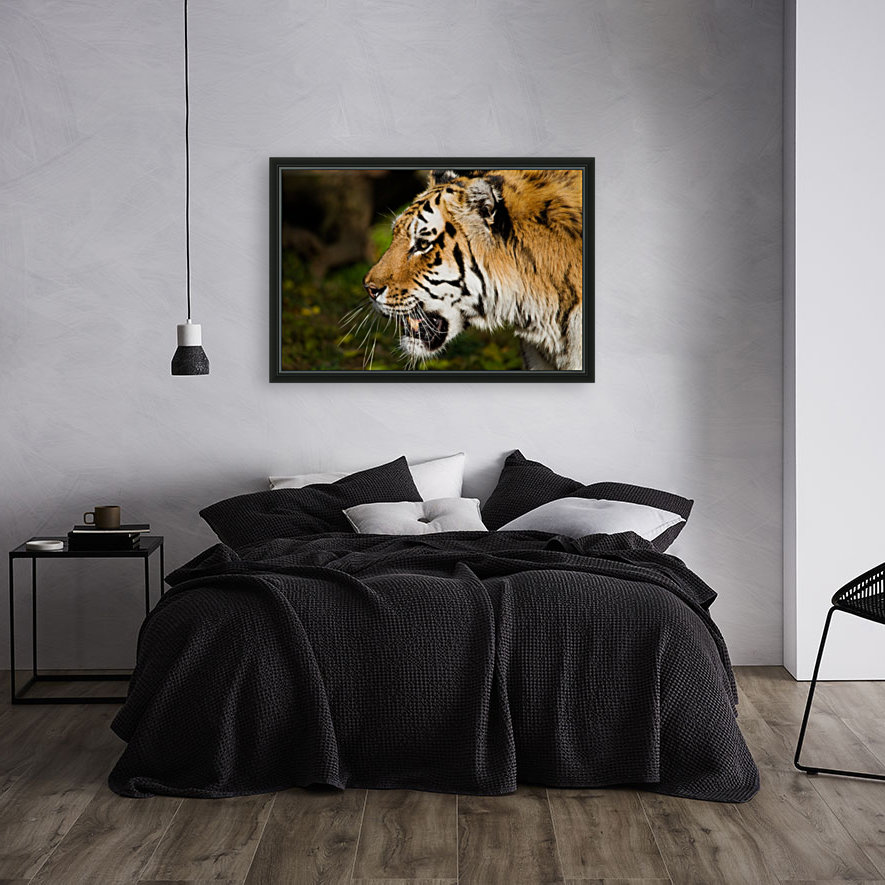Tiger Reproduction