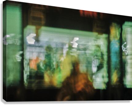 000035 01 Canvas Print