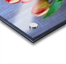 Tulips Acrylic print