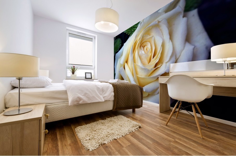 White Rose Mural print