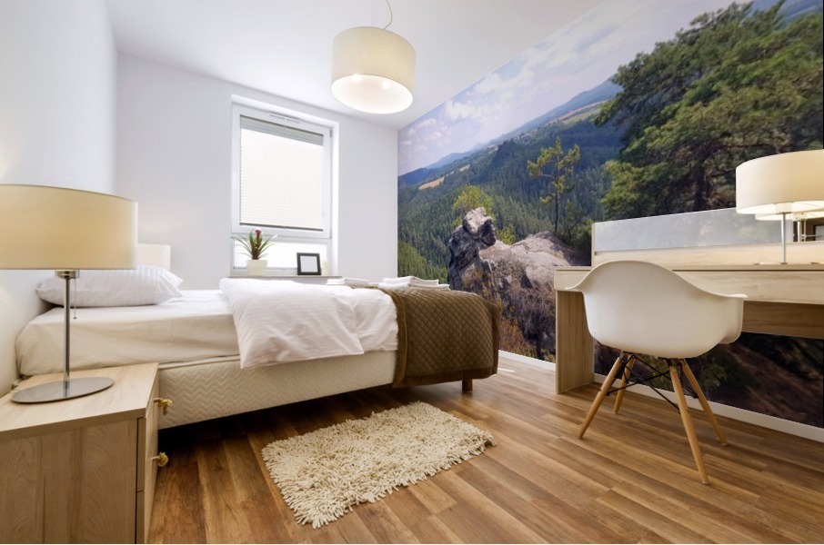 Lilienstein Mural print