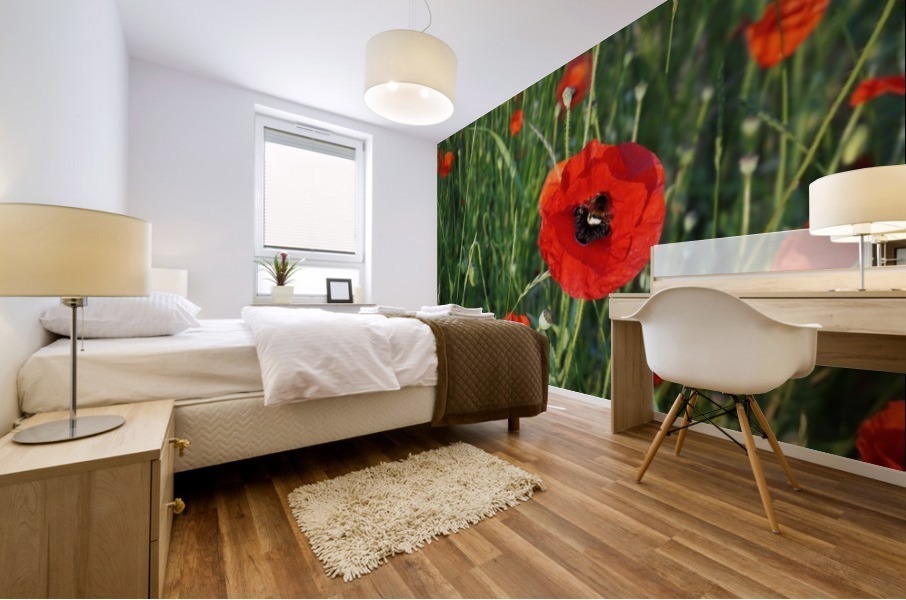 Poppy with bumblebee Mural print