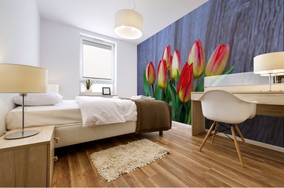 Tulips Mural print