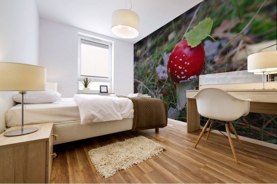 Fly Agaric Mural print