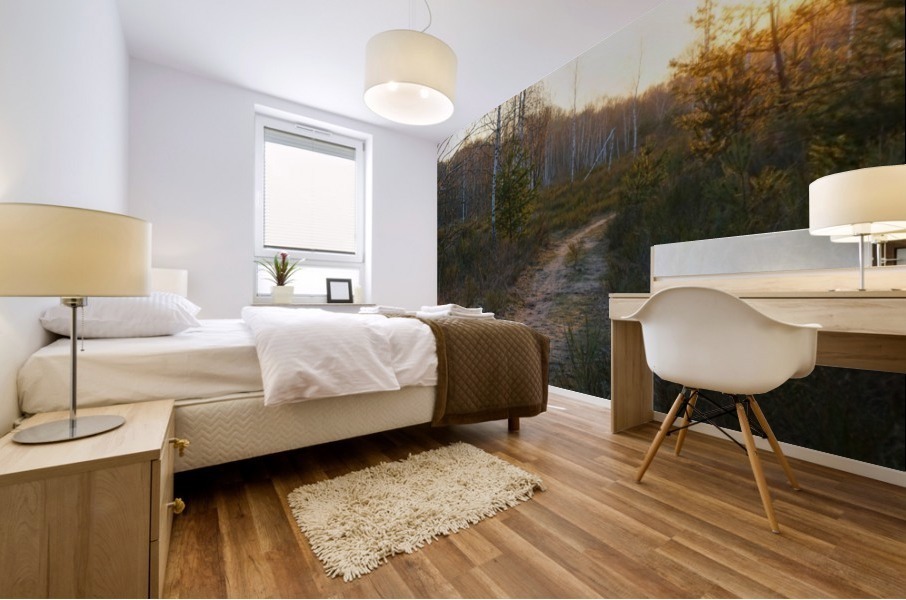 Sandy Pathway Mural print