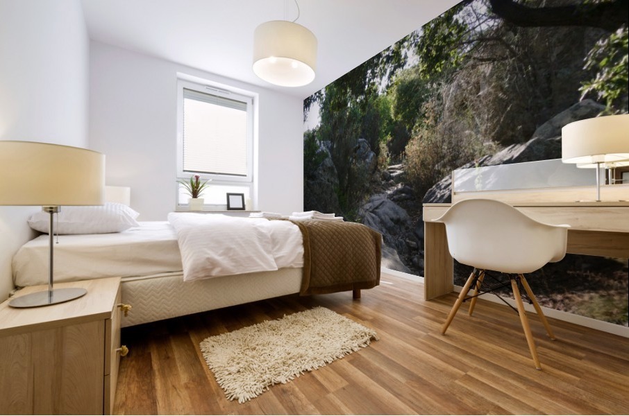 Stoney way up Mural print