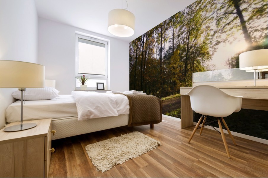 Forest Pathway Mural print