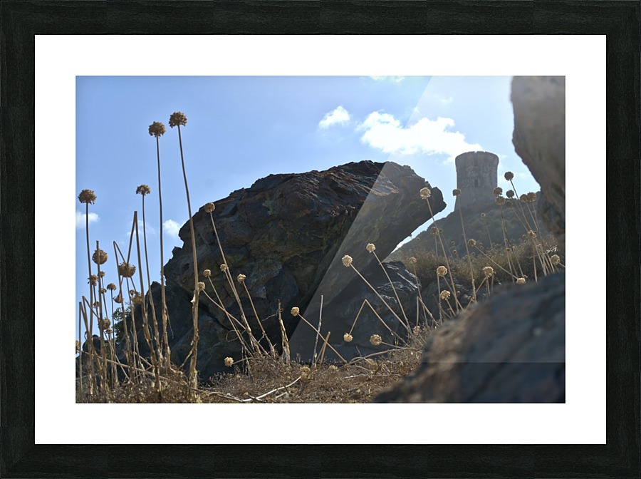 Pointe de la Parata Picture Frame print