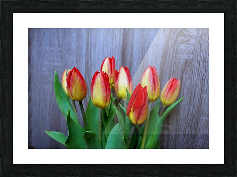 Tulips Picture Frame print