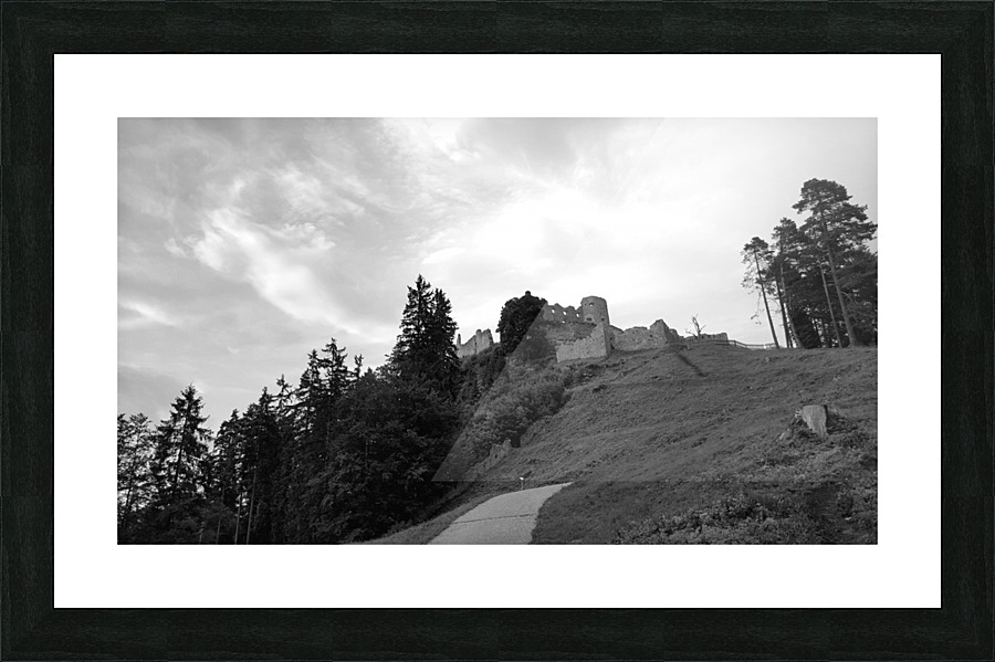 Castle Ehrenberg Picture Frame print