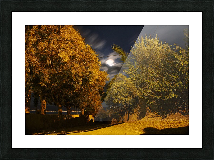 Pathway Picture Frame print