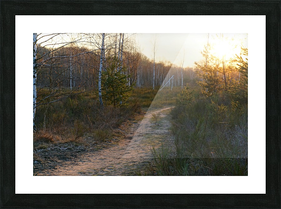 Sandy Pathway Picture Frame print