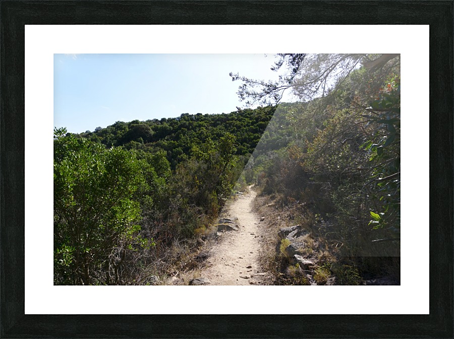 Pathway on a mountain Picture Frame print