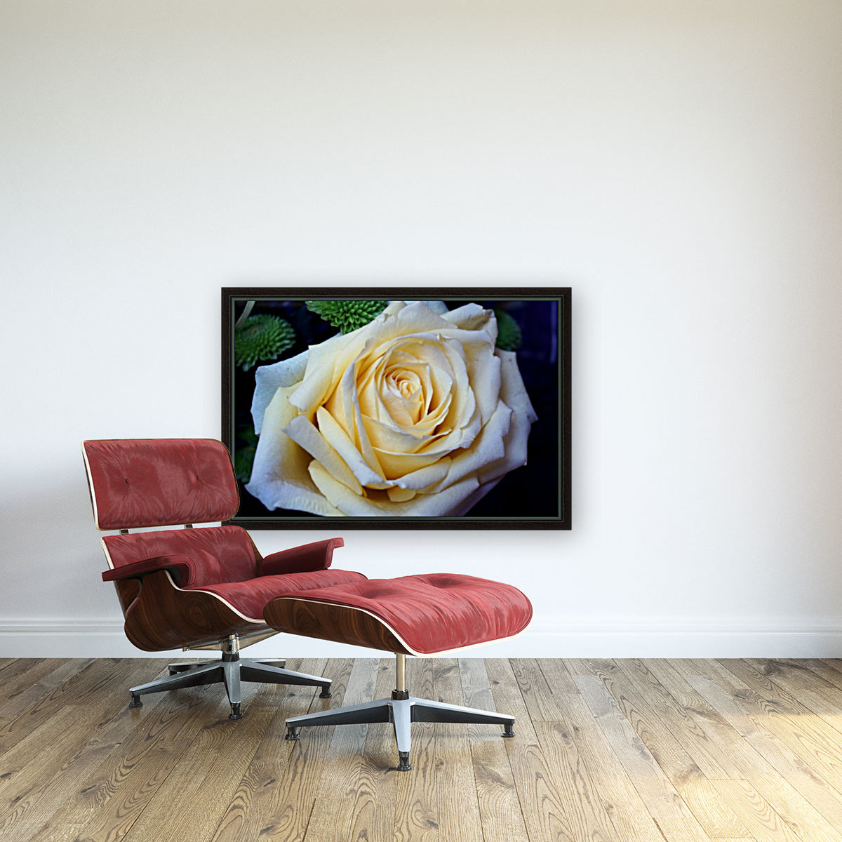 White Rose Reproduction