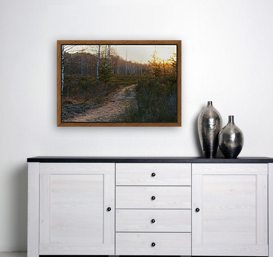 Sandy Pathway Reproduction