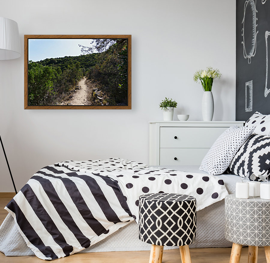 Pathway on a mountain Reproduction