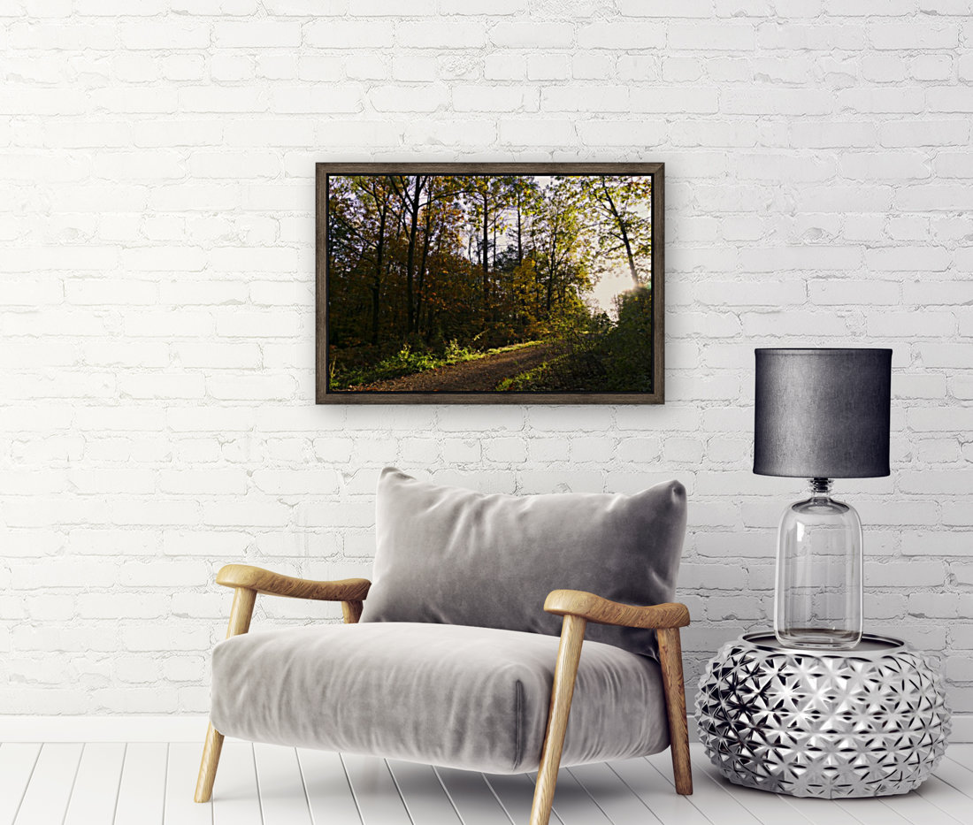 Forest Pathway Reproduction