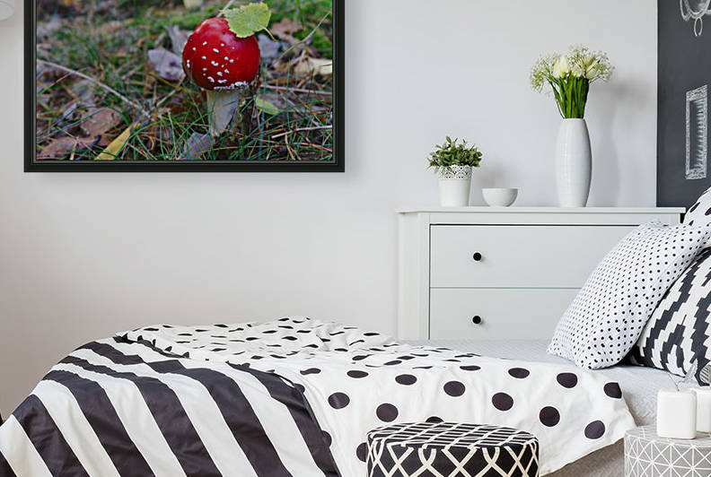Fly Agaric by Sianna Lay