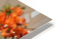 Orange Flower HD Metal print