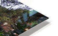 Pathway on a mountain HD Metal print