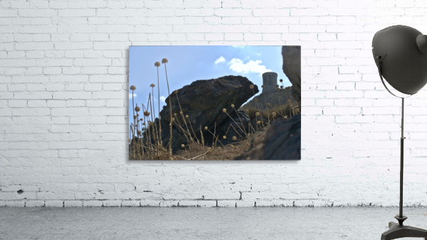 Pointe de la Parata Wall Preview