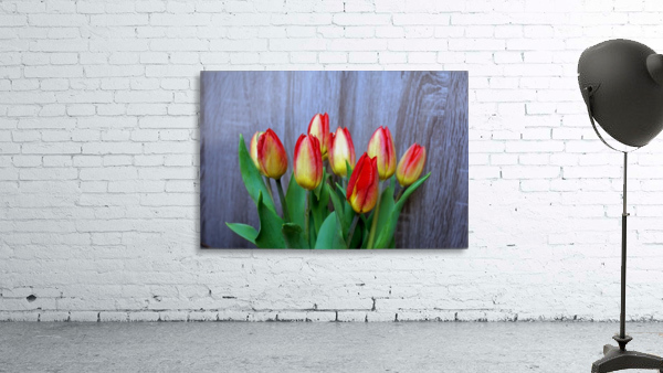 Tulips Wall Preview