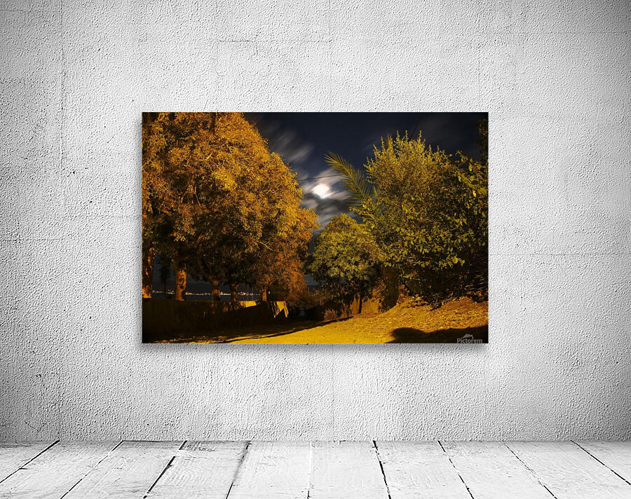 Pathway Wall Preview