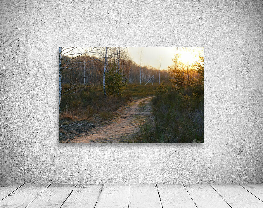 Sandy Pathway Wall Preview