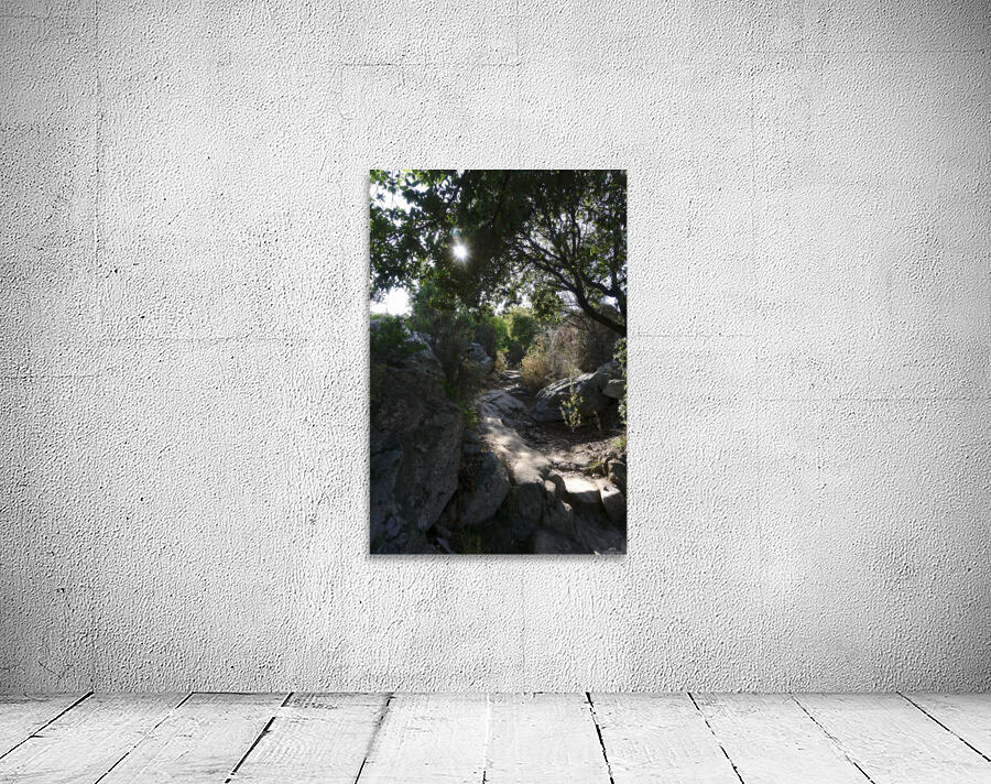 Stoney way up Wall Preview