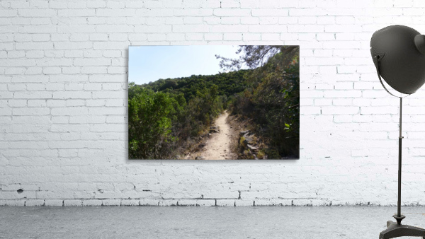 Pathway on a mountain Wall Preview
