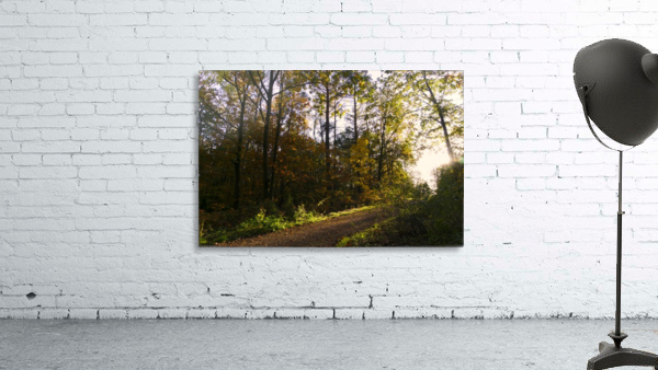 Forest Pathway Wall Preview