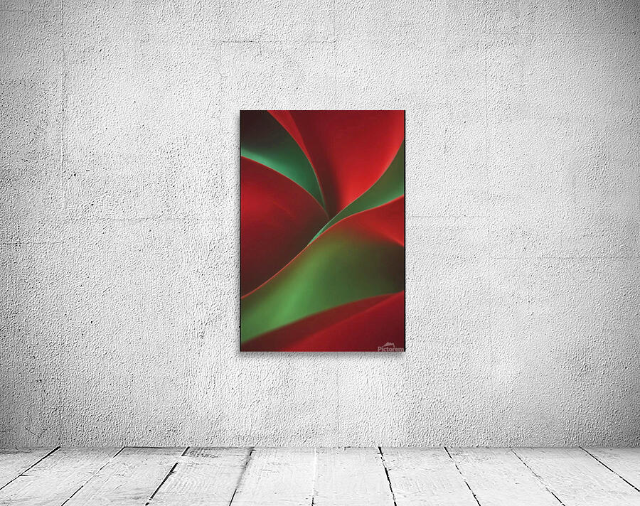 Abstract solid color red background texture photo Wall Preview