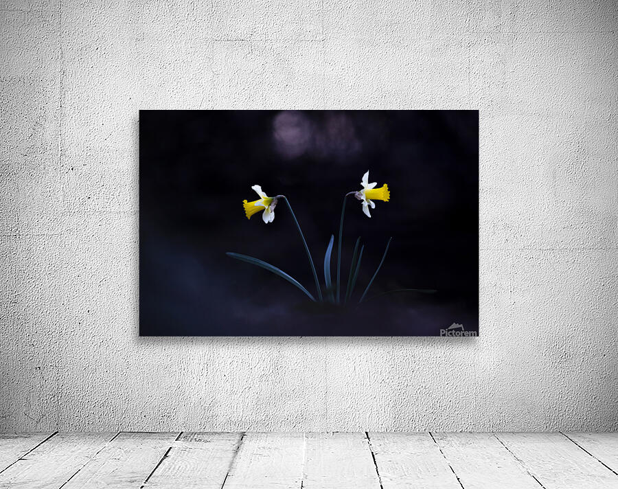 Jonquilles Wall Preview