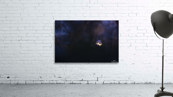 Tinkerbell Wall Preview