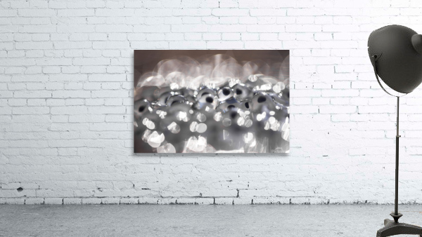 Eggs Wall Preview