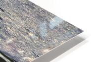 BRILLIANCE  HD Metal print