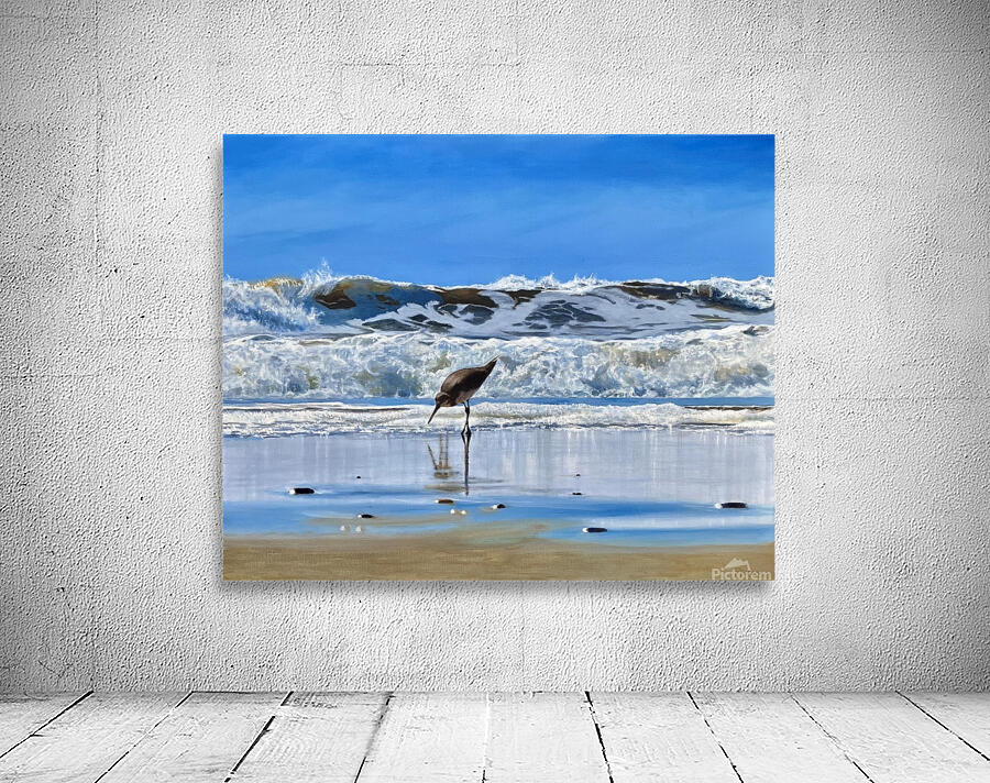 SHOREBIRD Wall Preview