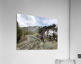 High Mountain Search  Acrylic Print