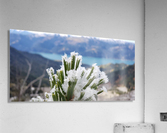 Winters Touch  Acrylic Print
