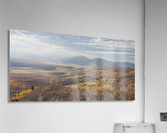 Fall Colors  Acrylic Print