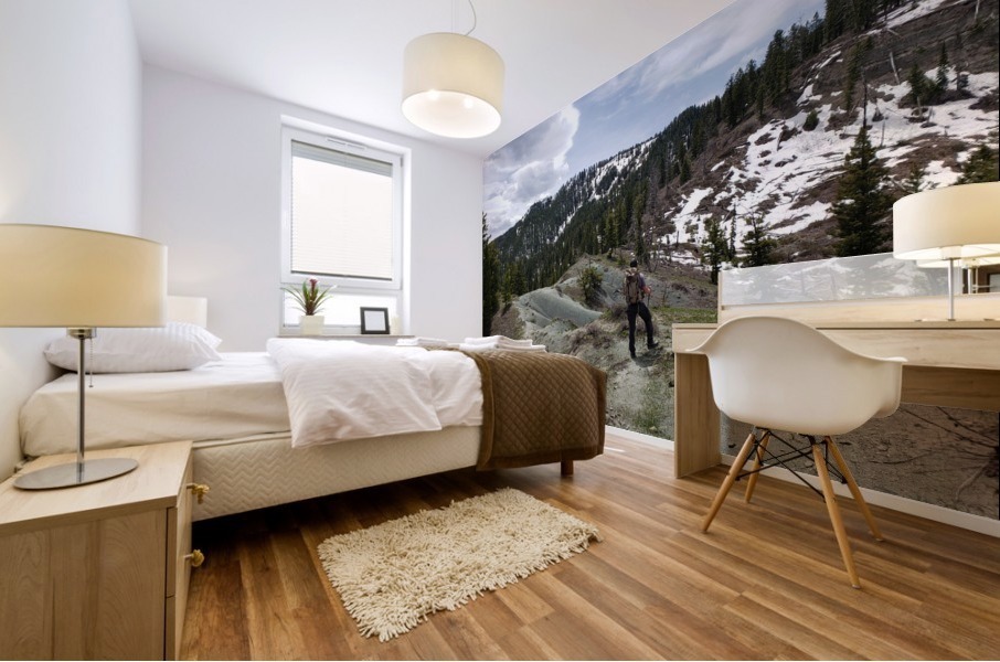 High Mountain Search  Mural print
