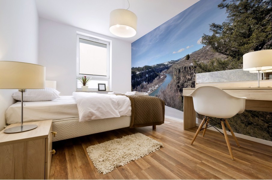 Snake River  Mural print