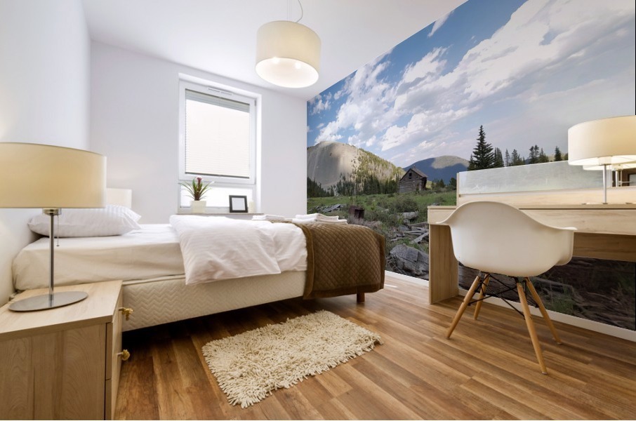 Hecla Mine Mural print
